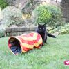 OUTDOOR CAT GAMES FOR SPRING