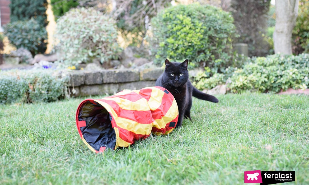 gatto nero che gioca con giochi da esterno ferplast in giardino