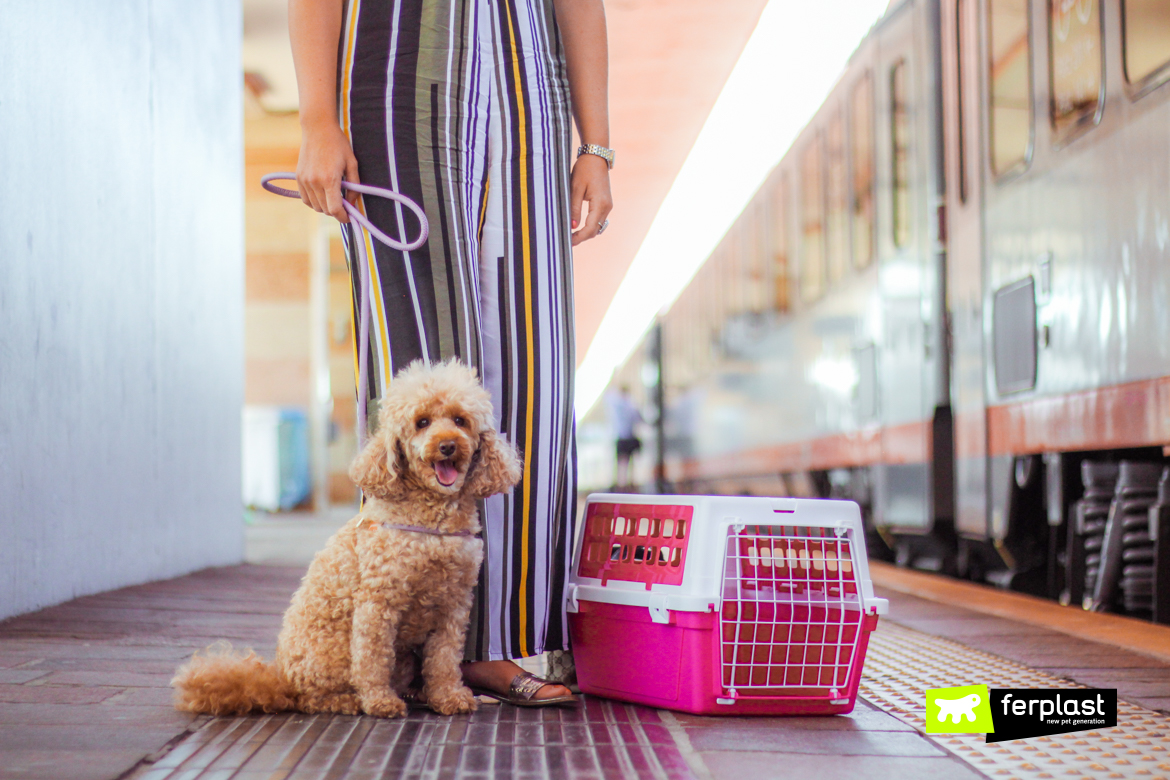 Cane-e-pet-parent-aspettano-il-treno