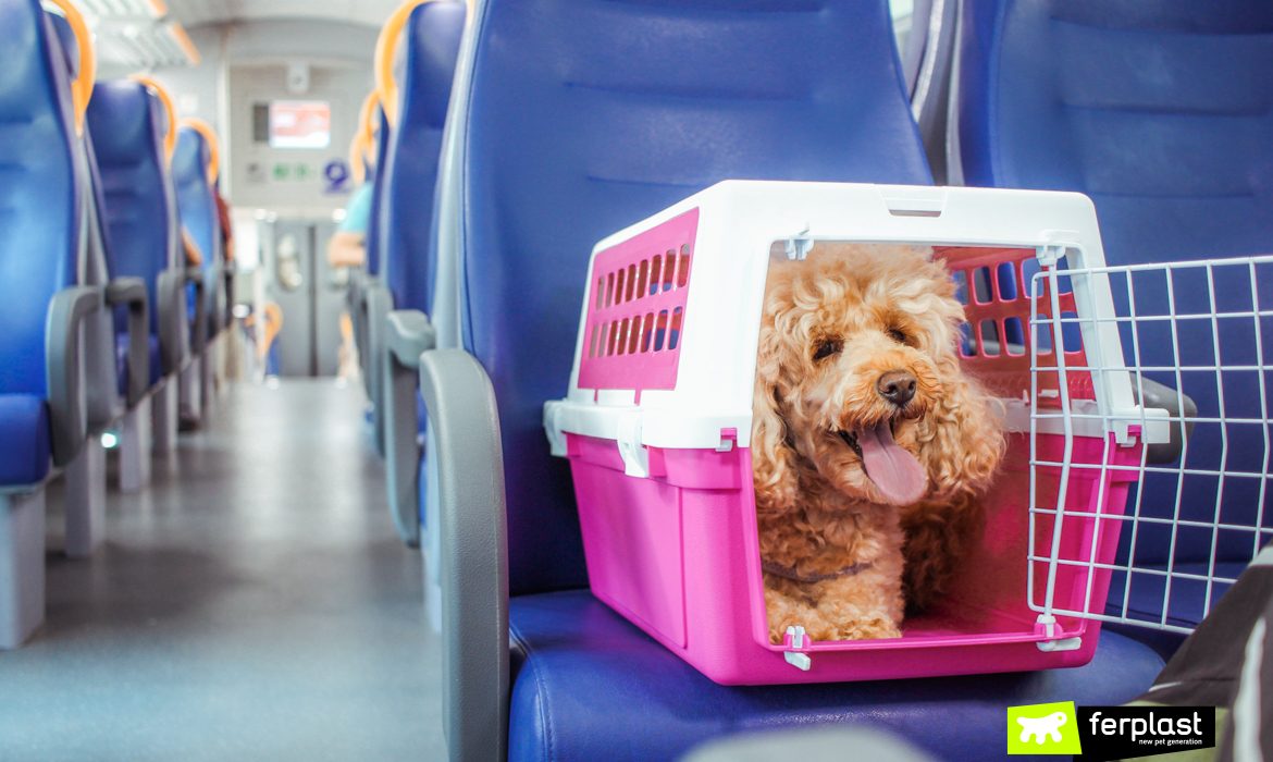 Cane-in-treno-nel-trasportino