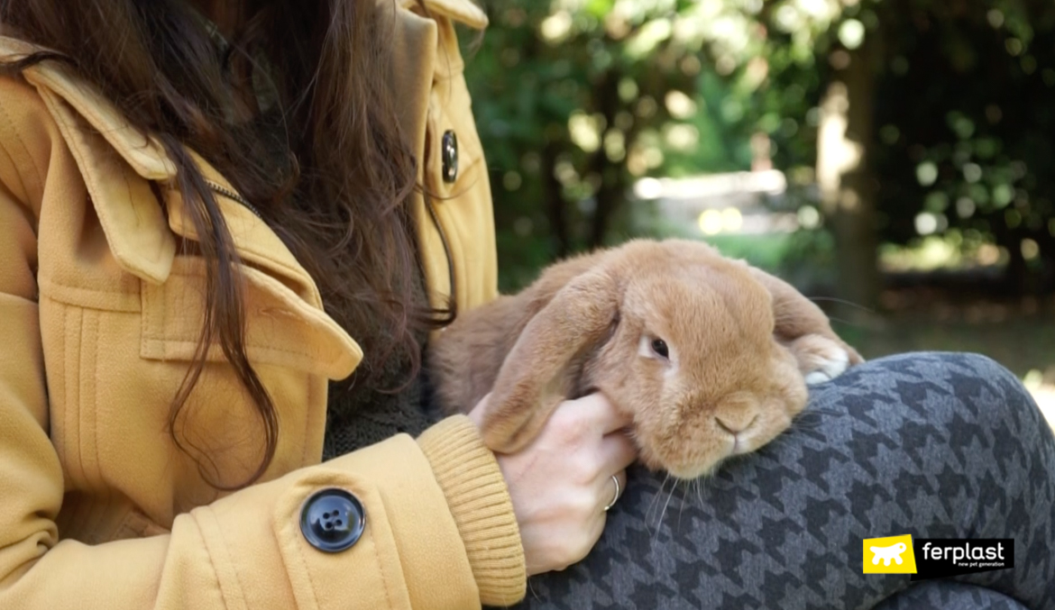 Giornata internazionale del coniglio