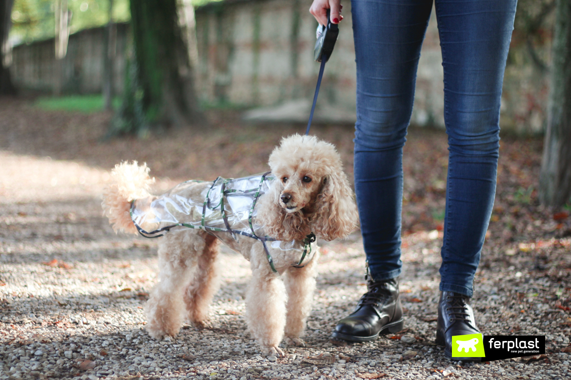 impermeabile-per-cani-cappottino-pioggia-ferplast