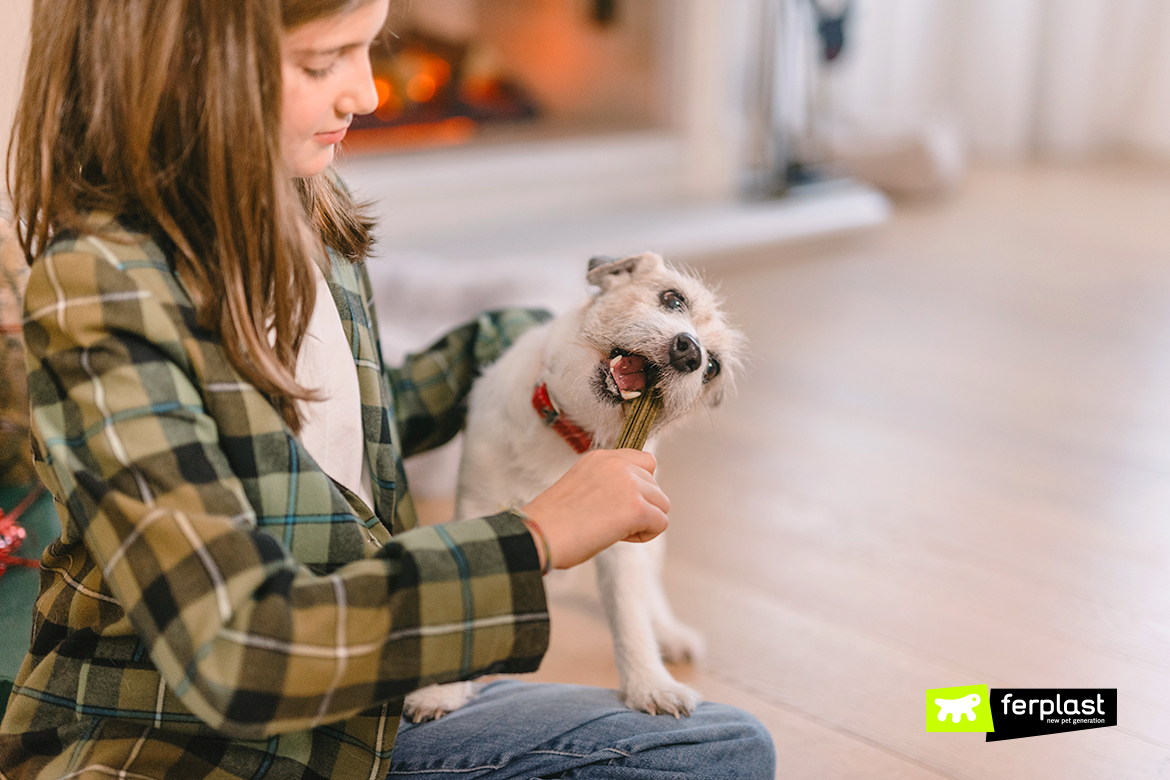 Tutto per la Toelettatura Cane - i consigli di ProduceBlog