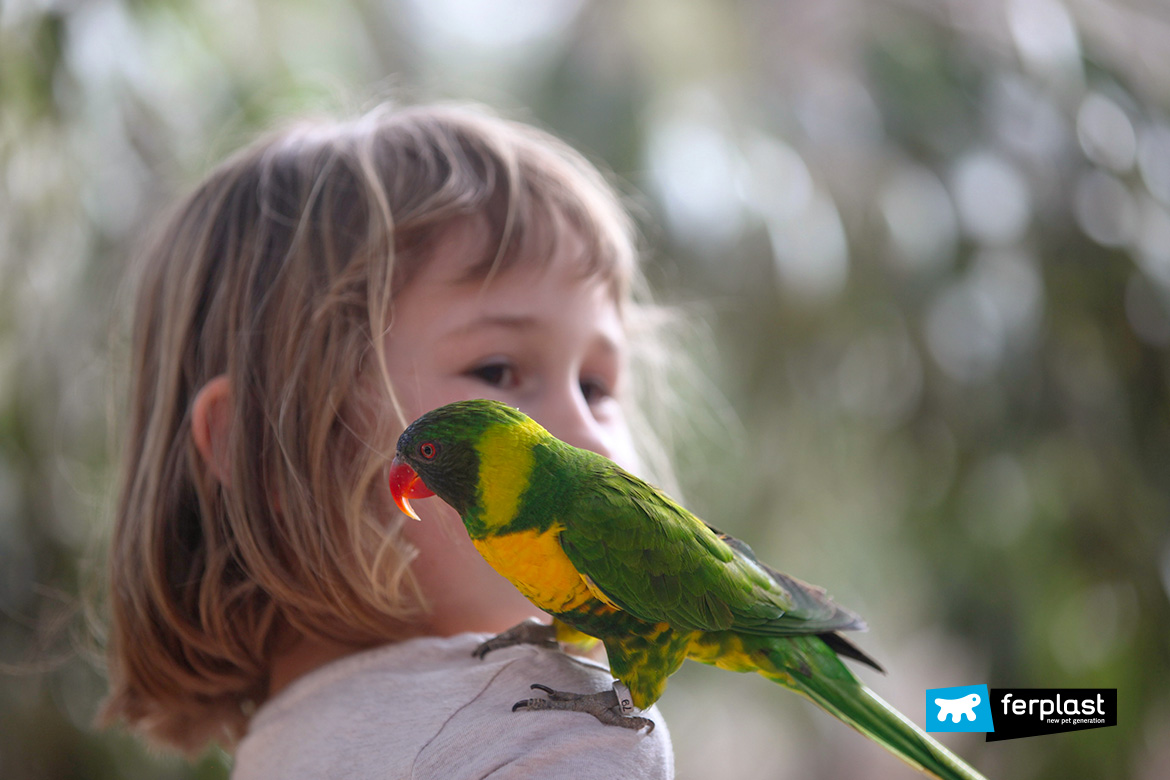 Ferplast pappagalli parlano bambina