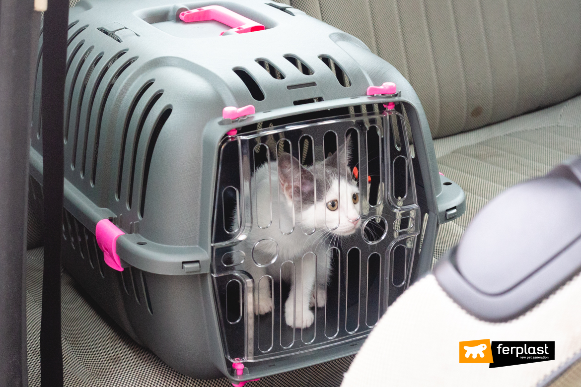 Ferplast gatto in viaggio trasportino jet