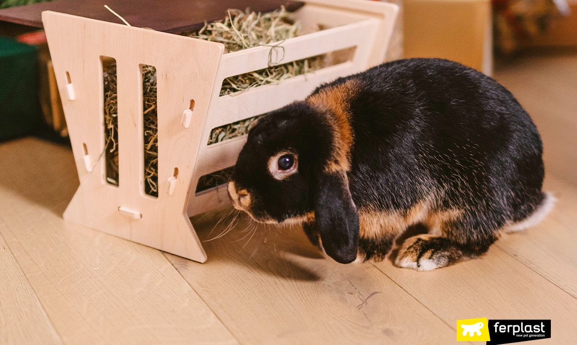 Ferplast accessori per conigli mangiatoia