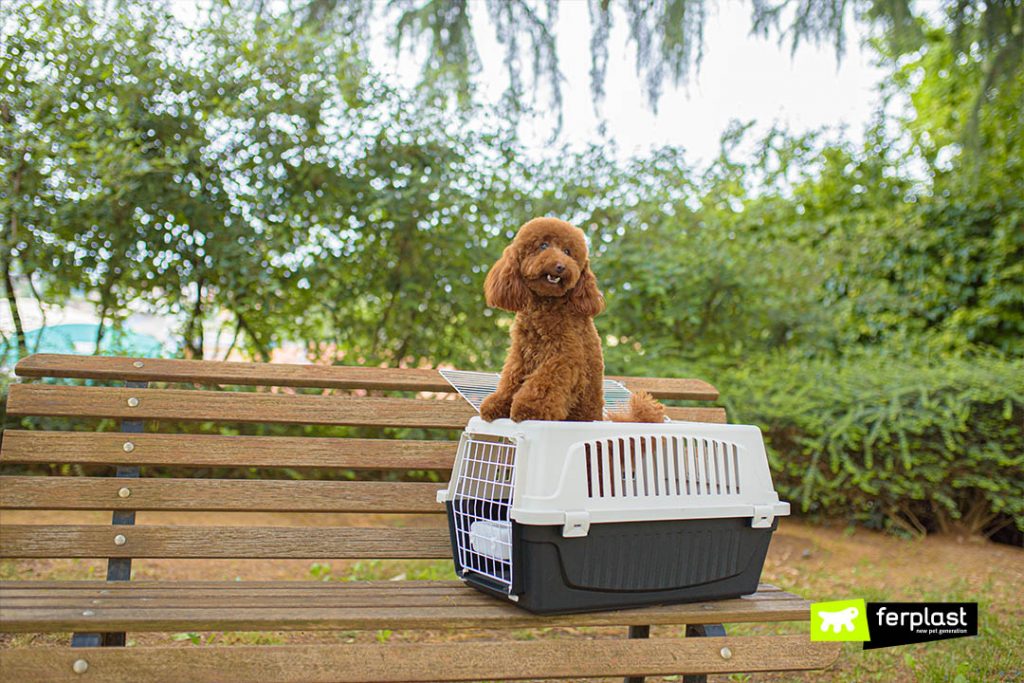 ATLAS THE RIGHT CARRIER FOR YOUR PET
