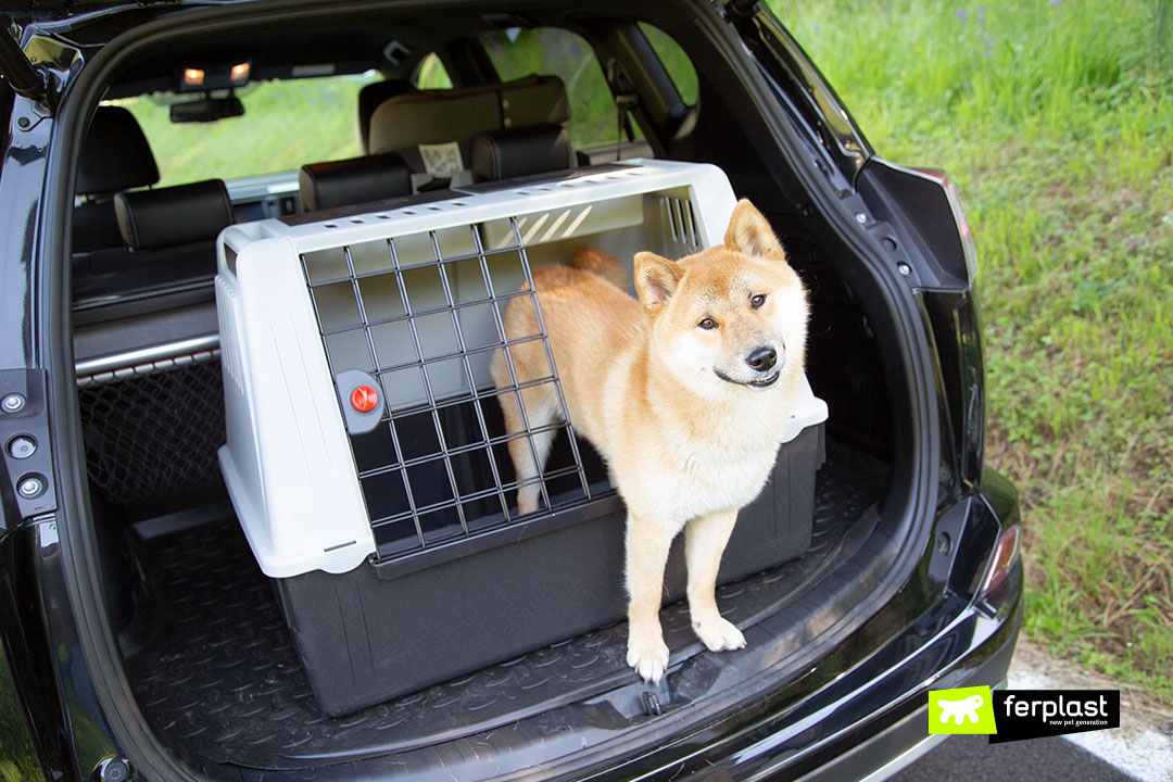 Ferplast trasportino cani Atlas Car