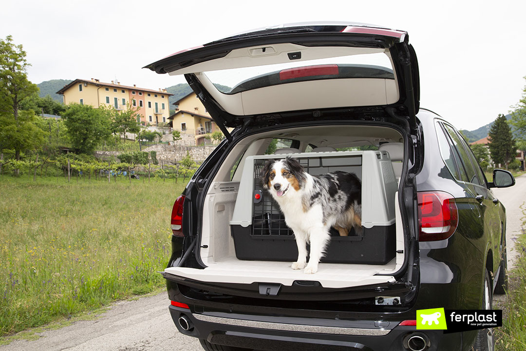 Ferplast cani macchina Atlas car