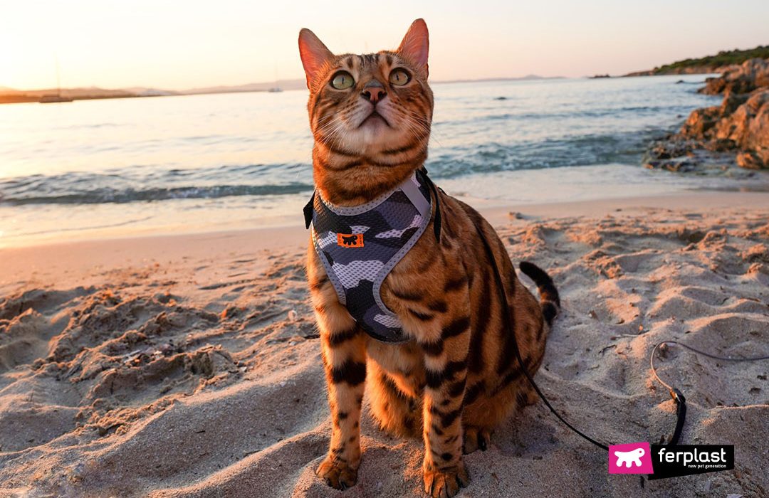 Ferplast gatto spiaggia pettorina Nikita