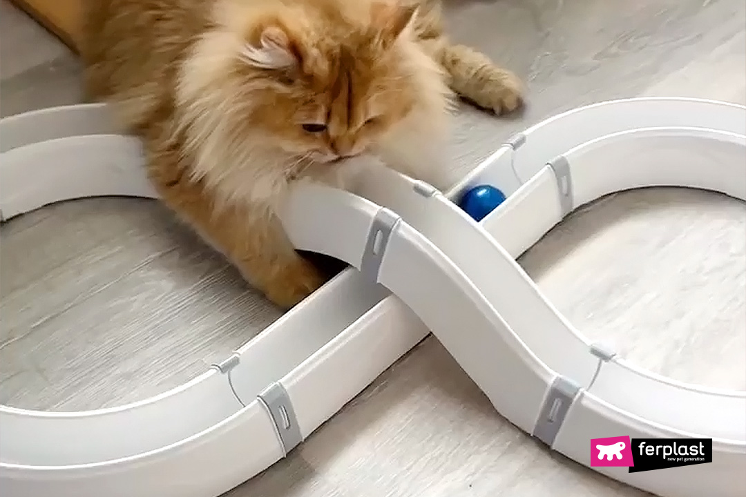 Mental stimulation toys for cats - LOVE FERPLAST